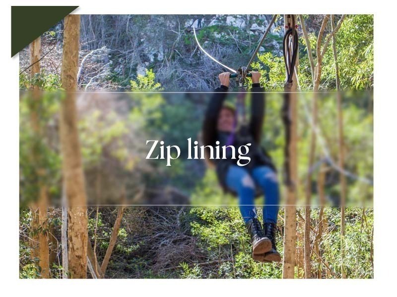Zip Lining